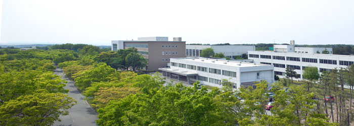 p_top-univ